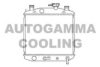AUTOGAMMA 103906 Radiator, engine cooling